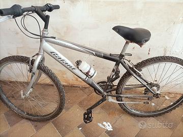 bicicletta adulto Galant 