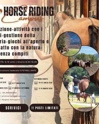 Campus estivo equitazione