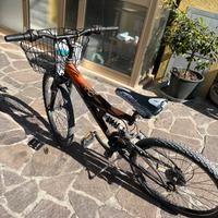 Bicicletta