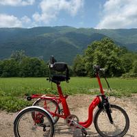 BICICLETTA TRICICLO