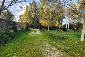 Terreno agricolo sabaudia pontinia