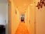 Immagine 13