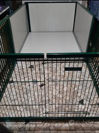 cassaparto coibentata cani taglia grande  euro 300