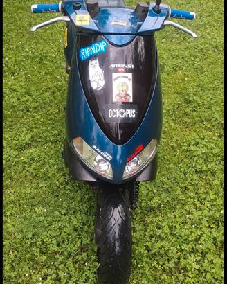 aprilia area 51