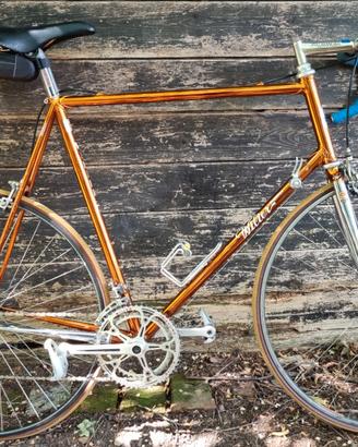 Bicicletta da corsa Wilier Triestina