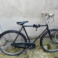 Bici adulto con catena