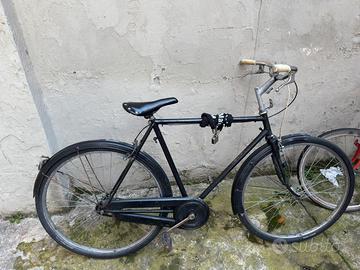 Bici adulto con catena