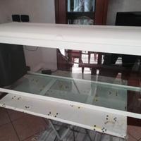 Acquario