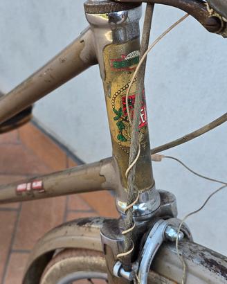 bicicletta u. dei super leggera donna