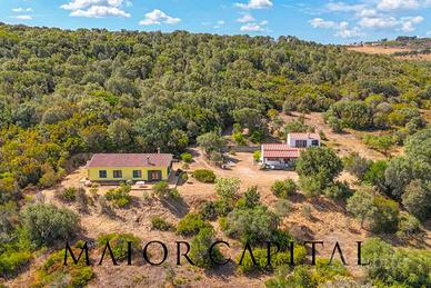 Casa singola - Aglientu