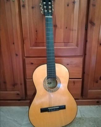 Chitarra vintage Eko