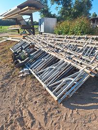 rastrelliera x bovini