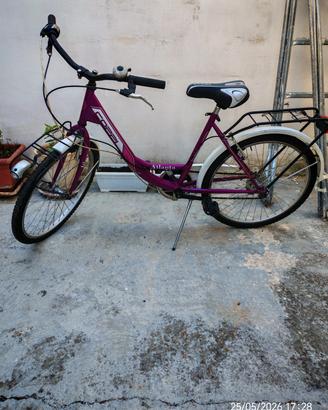bicicletta 