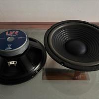 2 woofer Life da 25 cm 300W