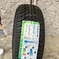 2 pneumatici Nuovi - Nexen Modello: N'Blue 4Season