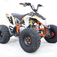 Quad MADIX 125 LTR