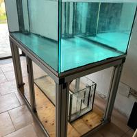 Acquario marino/dolce