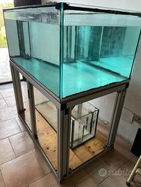 Acquario marino/dolce