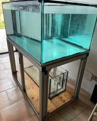 Acquario marino/dolce