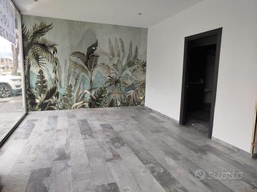 Locale commerciale zona anfiteatro