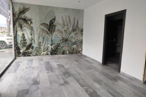 Locale commerciale zona anfiteatro