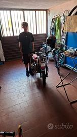 pit bike 10 / 12 anni