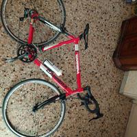 bicicletta da corsa