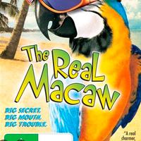 FILM: Mac e il tesoro dell'isola corallina