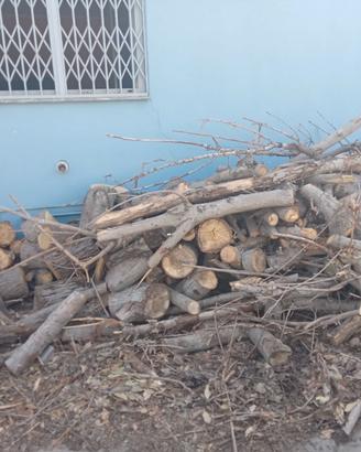 Legna da ardere, legno