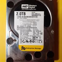 HARD DISK WESTERN DIGITAL 2 TB 3"1/2 USATO FUNZION