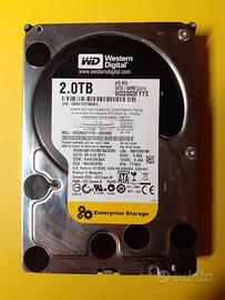 HARD DISK WESTERN DIGITAL 2 TB 3"1/2 USATO FUNZION