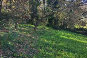 Terreno - Piazza Armerina