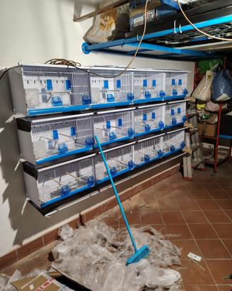 Batteria di gabbie 58