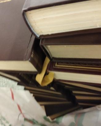 collezione i libri 