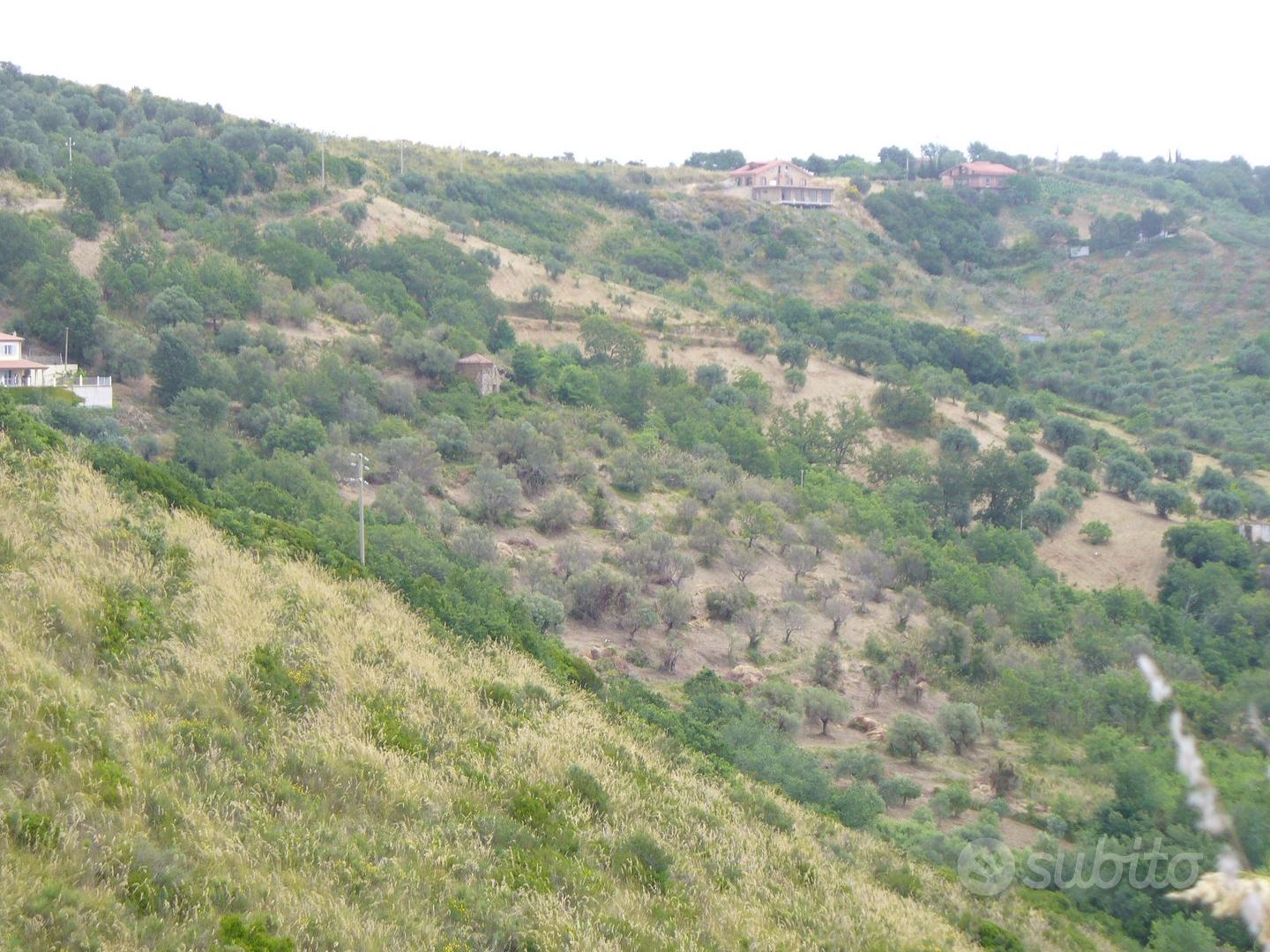 Vendita terreno vista mare - Vista 4