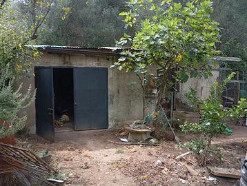 Terreno edificabile Laureana di Borrello