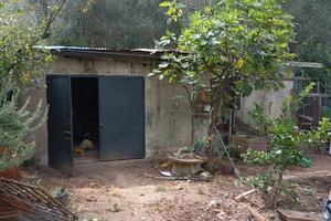 Terreno edificabile Laureana di Borrello