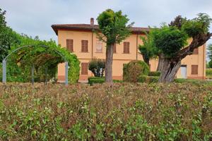 Trif ristrt + n.3 garage + area verde + 1,3 et ter