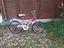Immagine 1