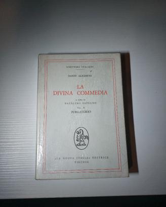 La divina commedia purgatorio