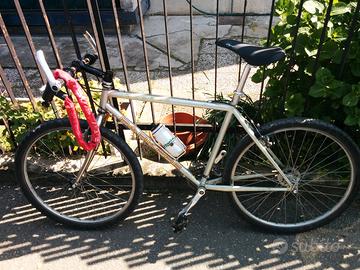 bicicletta 