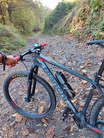 Mtb bianchi carbon