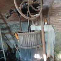 Torchio per uva 