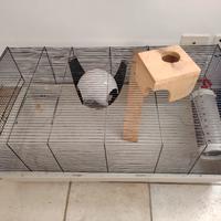 Gabbia per roditori 1 metro
