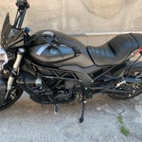 Benelli 502 c cruiser