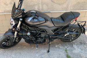 Benelli 502 c cruiser