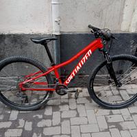 Bicicletta MTB Specialized