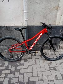 Bicicletta MTB Specialized