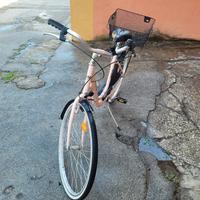 Bicicletta WEG