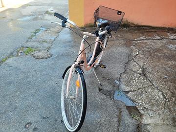 Bicicletta WEG